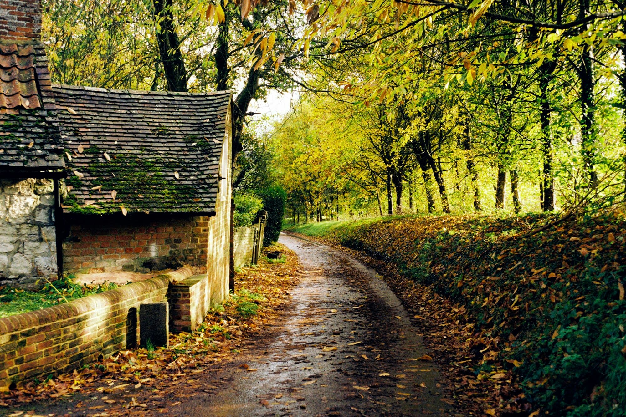 An autumn country lane beside a small stone building